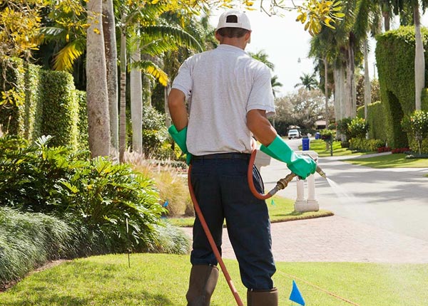 About East Leroy MI Pest Control Pros